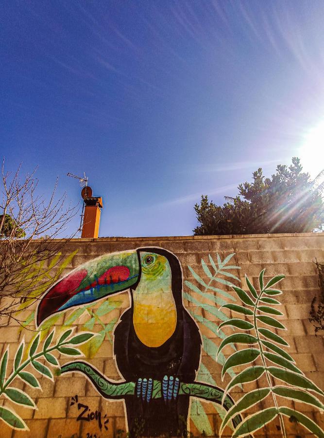 فيلا Casa Del Tucan شيكلانا دي لا فرونتيرا المظهر الخارجي الصورة